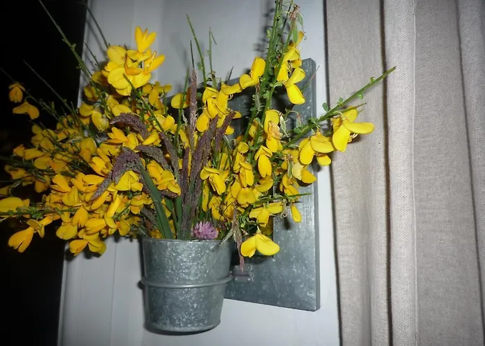 La Maison De Lili Frühstückspension 3*