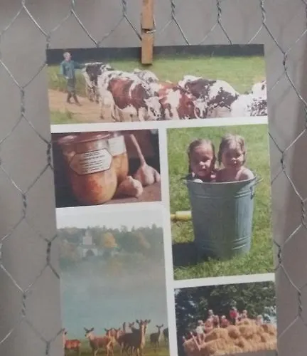 Frühstückspension La Maison De Lili 3*