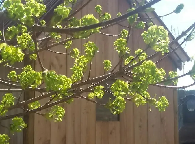 Frühstückspension La Maison De Lili 3*